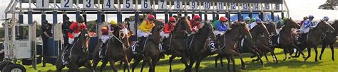 online horse betting australia|Best Online Bookmakers For Horse Racing .